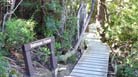 Walk through the 'Ballroom', Cradle Mt, Tasmania